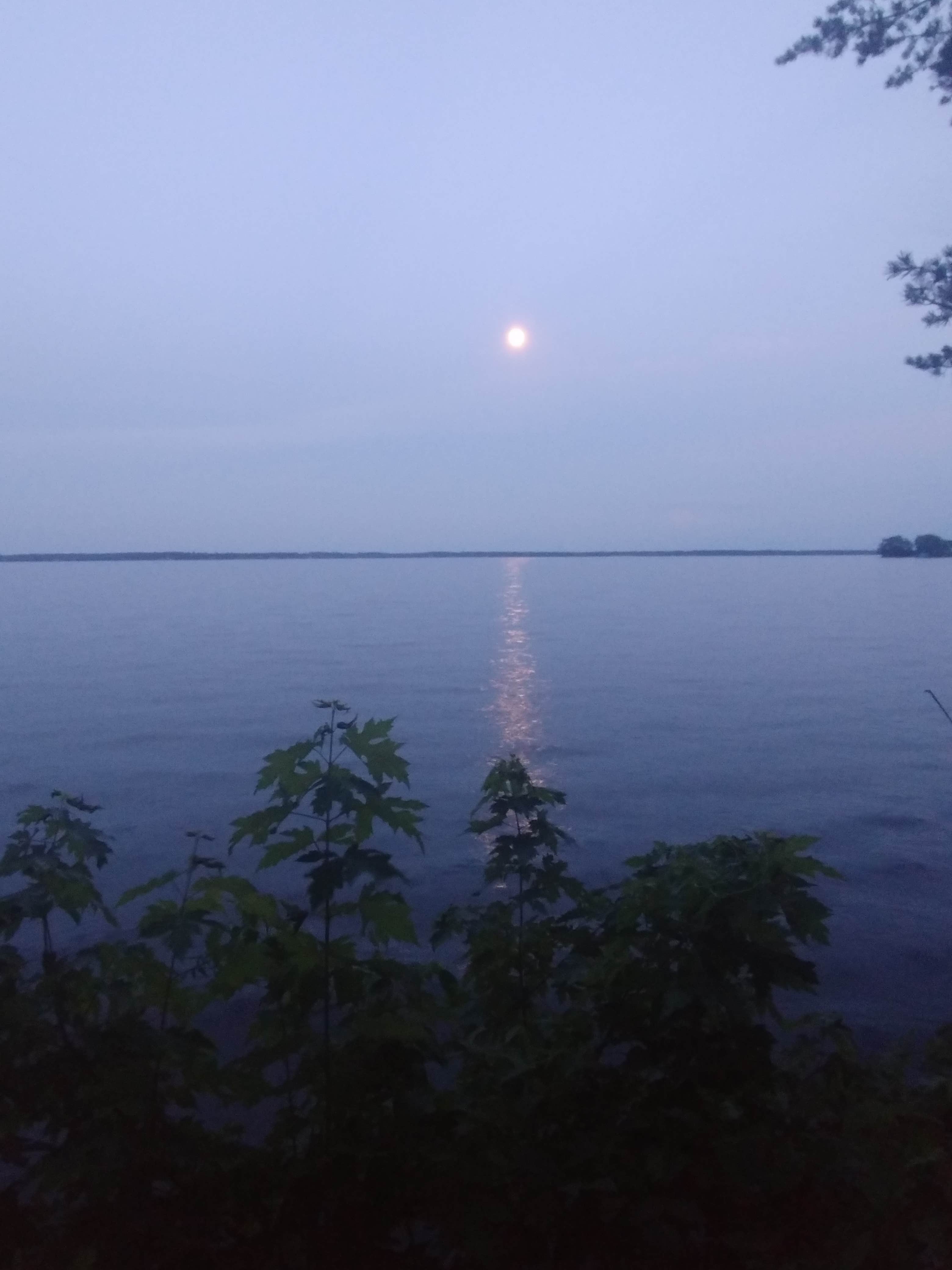 Camper submitted image from Petenwell Park - 5