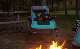 Jabin W.'s photo at Petenwell Park near Pittsville, WI