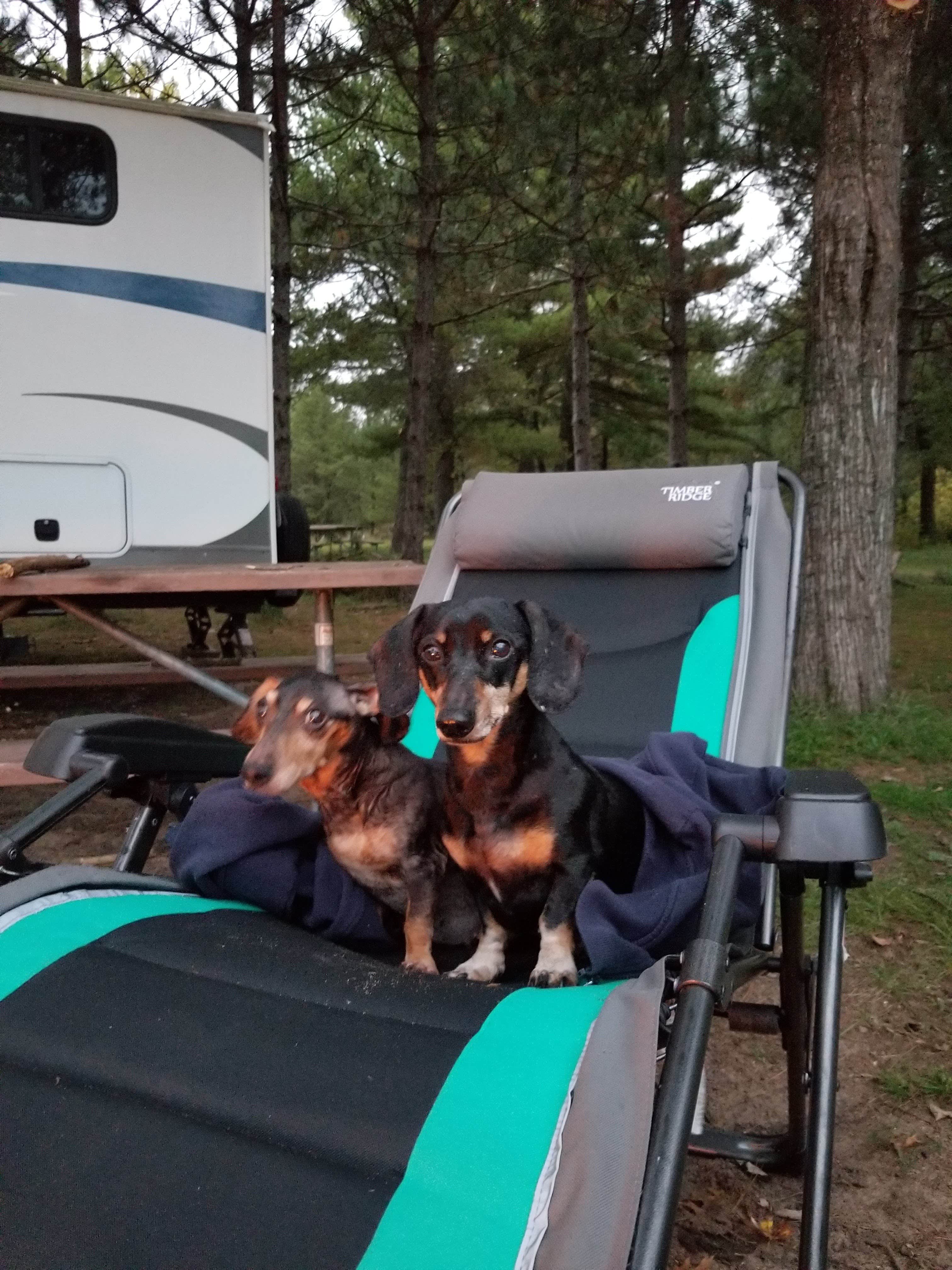 Camper submitted image from Petenwell Park - 4