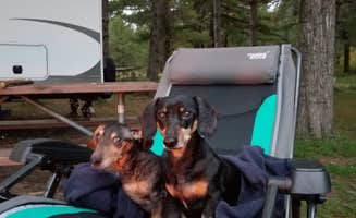 Jabin W.'s photo of camping with pets at Petenwell Park near Nekoosa, WI