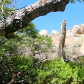 Review photo of Alabama Hills Recreation Area by Matt G., April 4, 2025