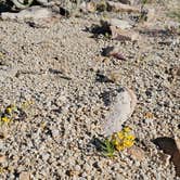 Review photo of Alabama Hills Recreation Area by Matt G., April 4, 2025
