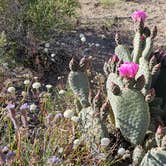 Review photo of Alabama Hills Recreation Area by Matt G., April 4, 2025