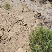 Review photo of Alabama Hills Recreation Area by Matt G., April 4, 2025