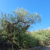 Review photo of Alabama Hills Recreation Area by Matt G., April 4, 2025