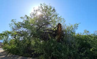 Matt G.'s photo of a dispersed camping area at Alabama Hills Recreation Area near Keeler, CA