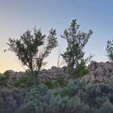 Review photo of Alabama Hills Recreation Area by Matt G., April 4, 2025