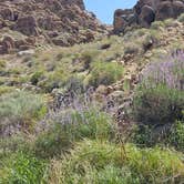 Review photo of Alabama Hills Recreation Area by Matt G., April 4, 2025
