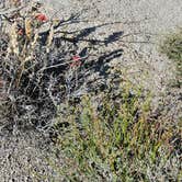 Review photo of Alabama Hills Recreation Area by Matt G., April 4, 2025