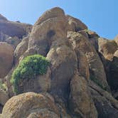 Review photo of Alabama Hills Recreation Area by Matt G., April 4, 2025