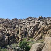 Review photo of Alabama Hills Recreation Area by Matt G., April 4, 2025