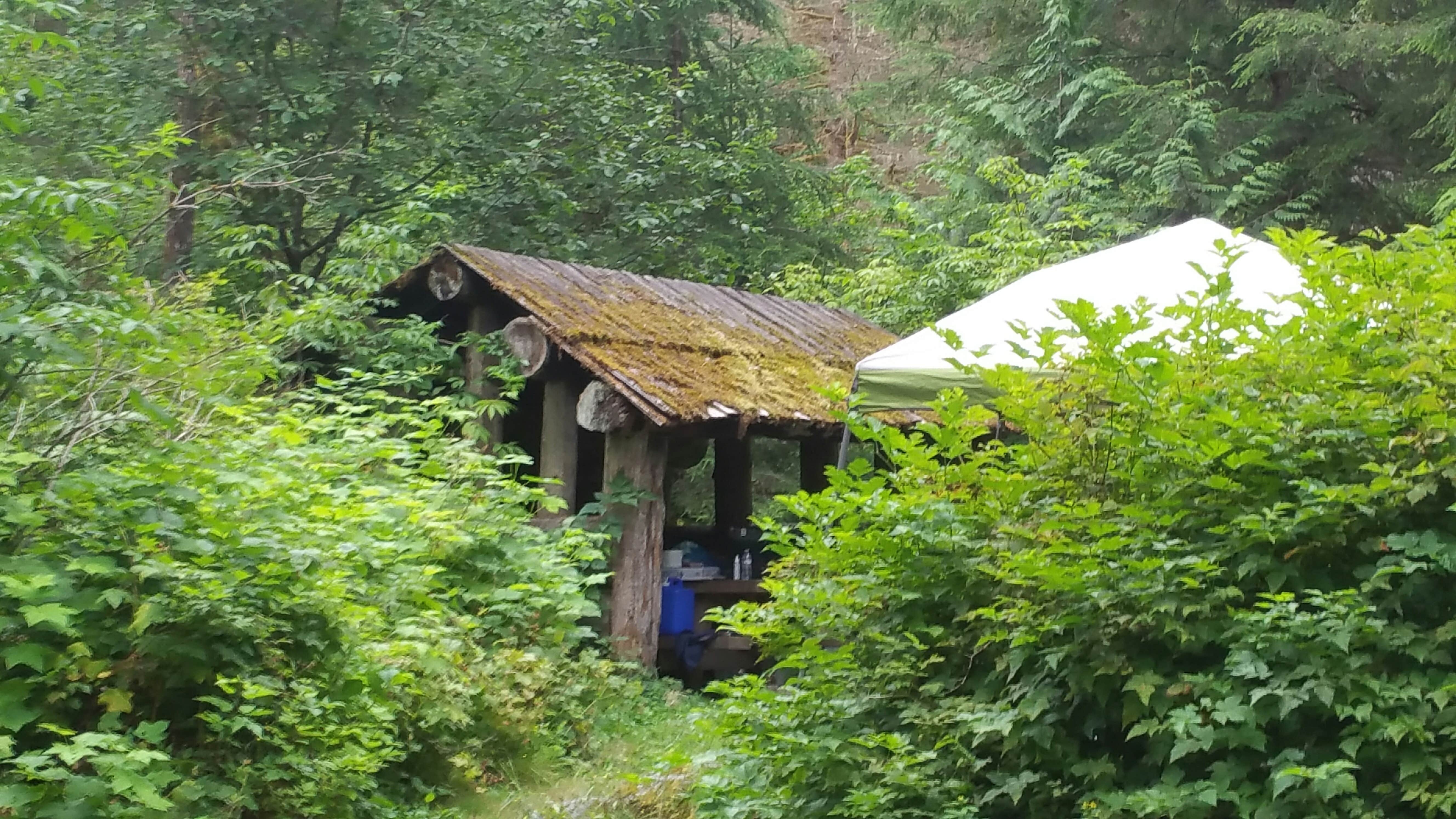 Andrea R.'s photo of glamping accommodations at Bedal Campground near Index, WA