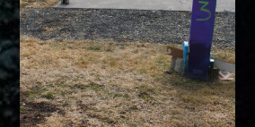 Camper submitted image from MyzticVibes RV & Events