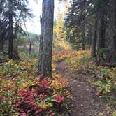 Review photo of Kintla Lake Campground — Glacier National Park by Katie G., September 20, 2016