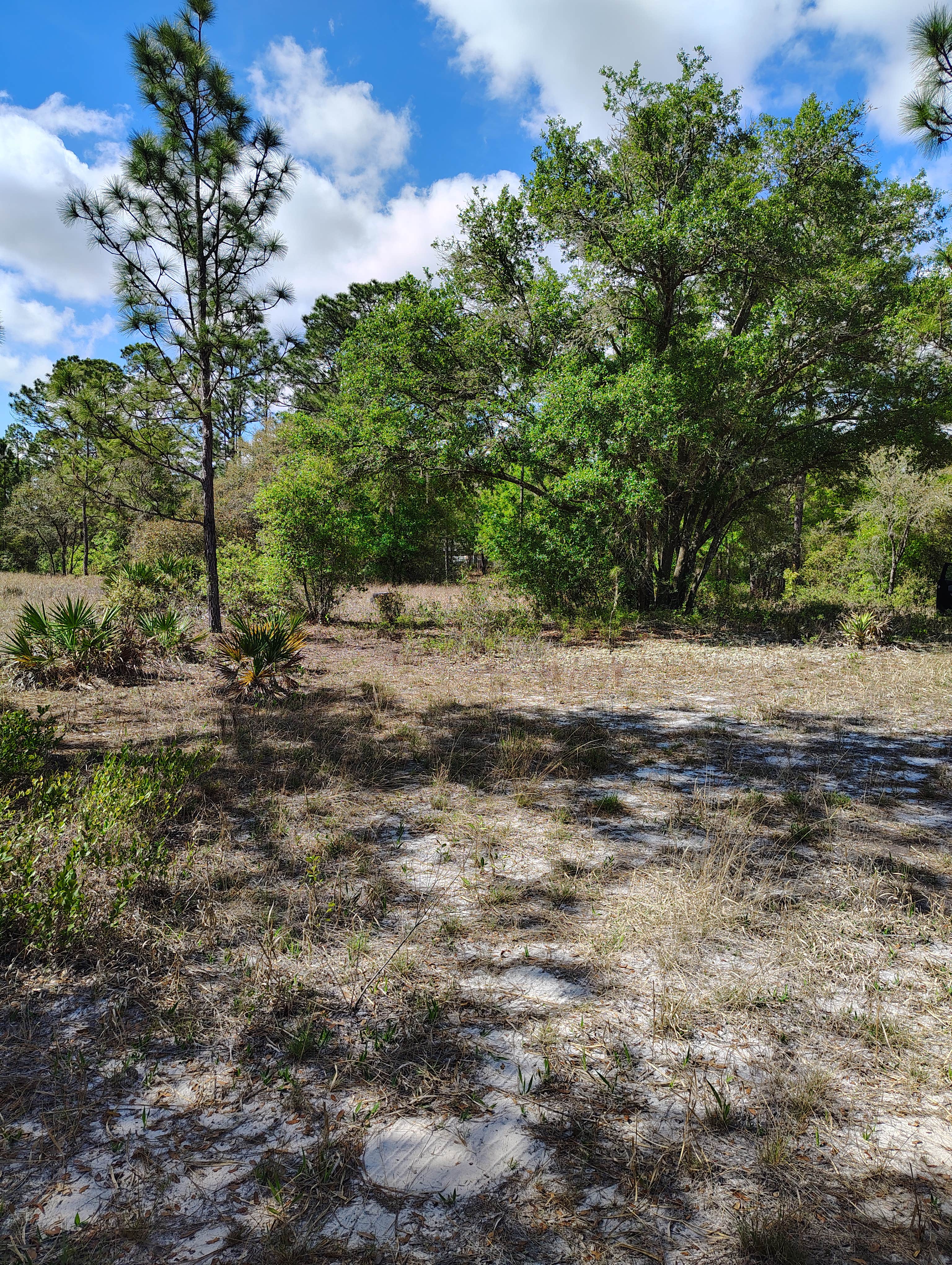 Camper-submitted photo at Hideaway Oasis near Waldo, FL