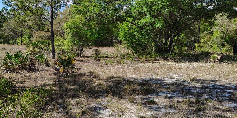 Camper submitted image from Hideaway Oasis