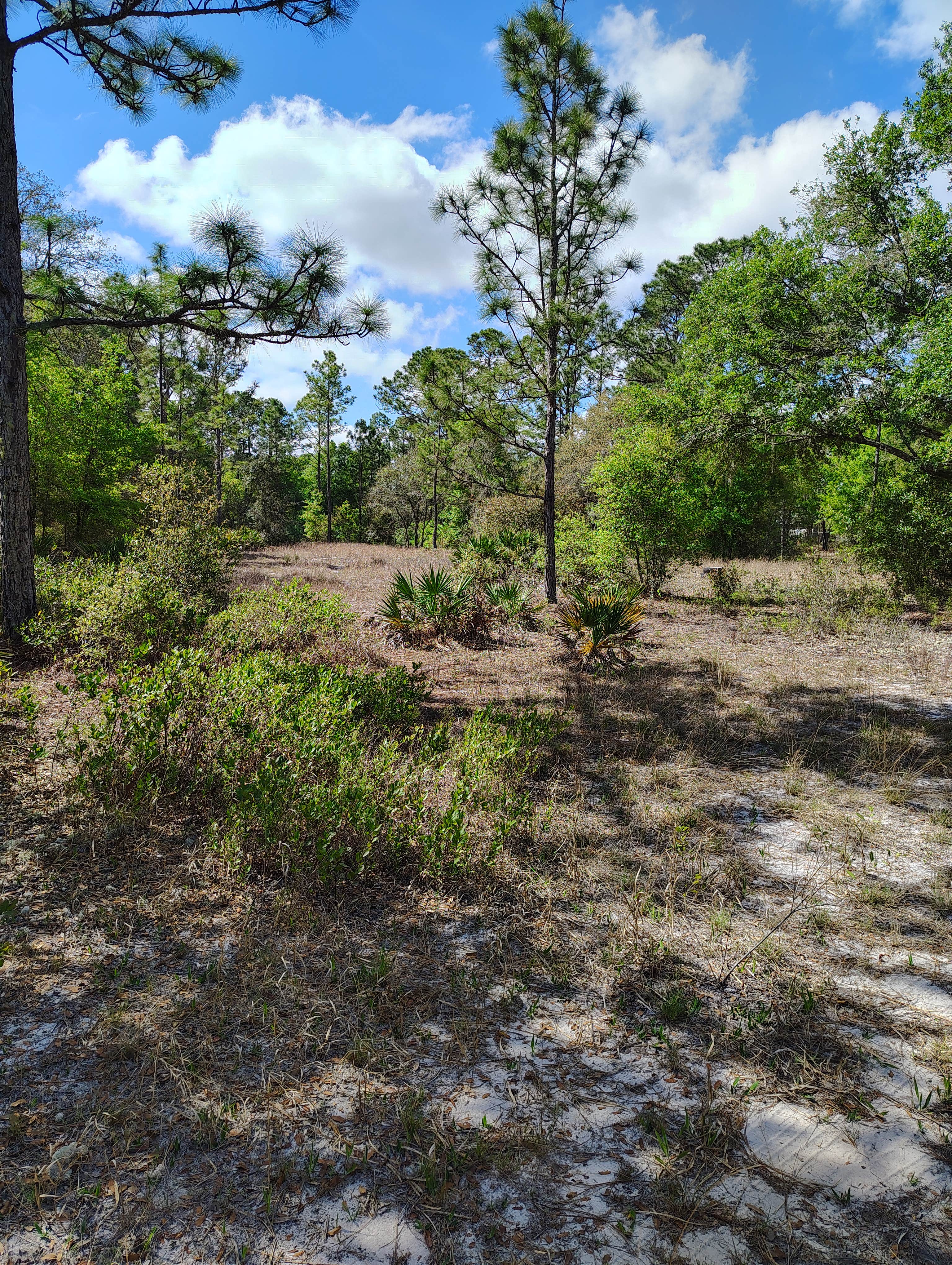 Camper-submitted photo at Hideaway Oasis near Waldo, FL