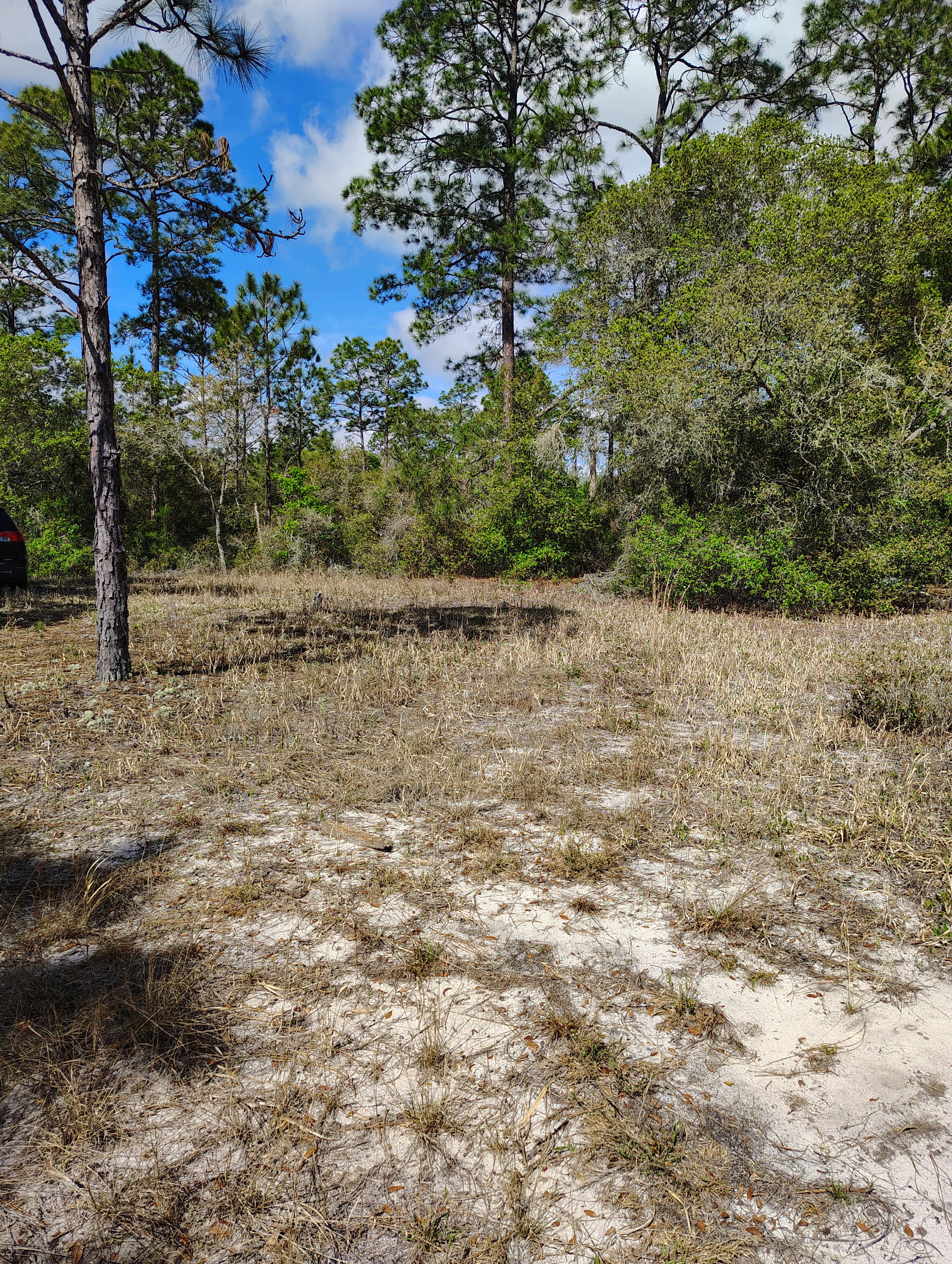 Camper-submitted photo at Hideaway Oasis near Waldo, FL