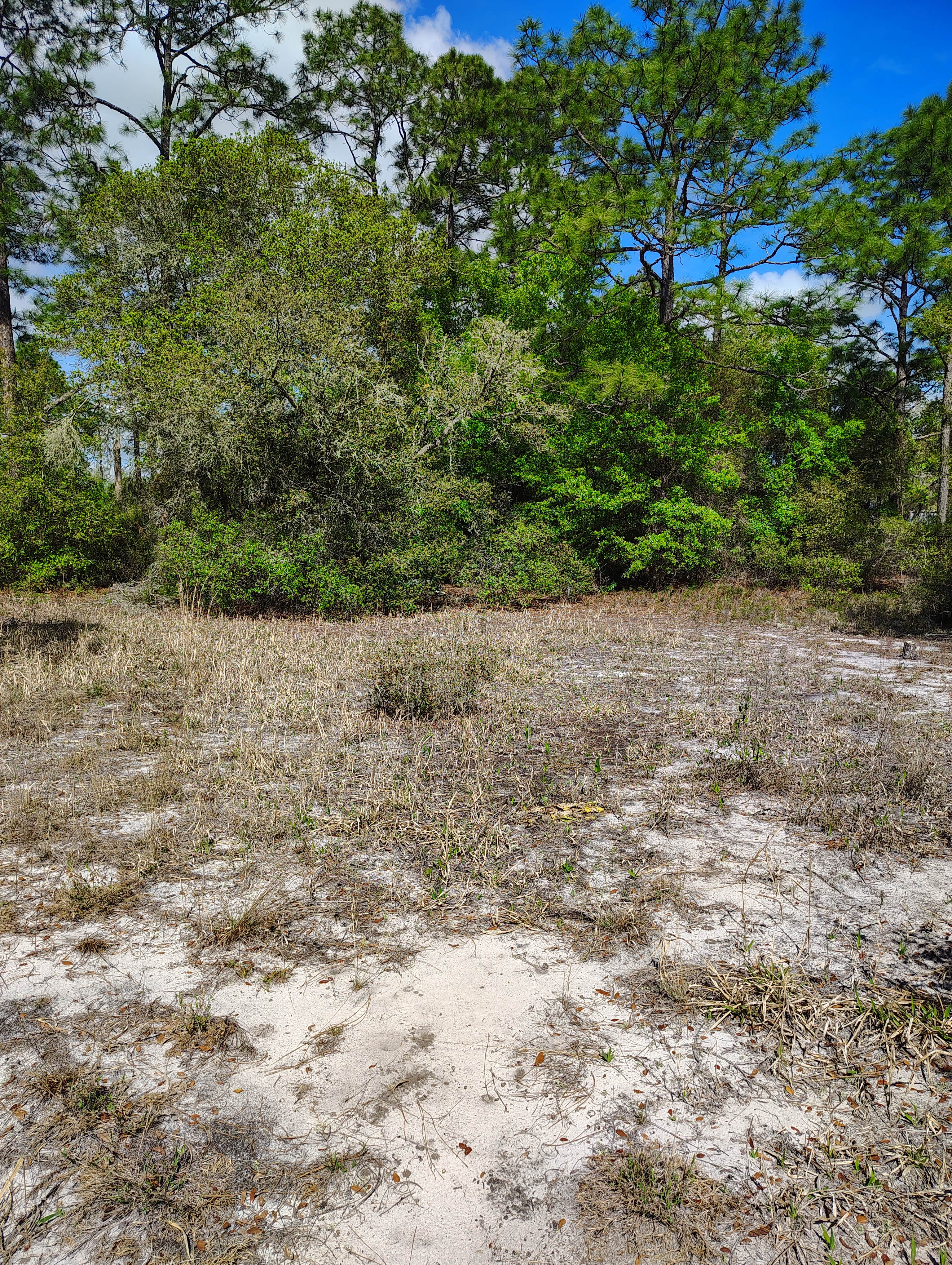 Camper-submitted photo at Hideaway Oasis near Waldo, FL