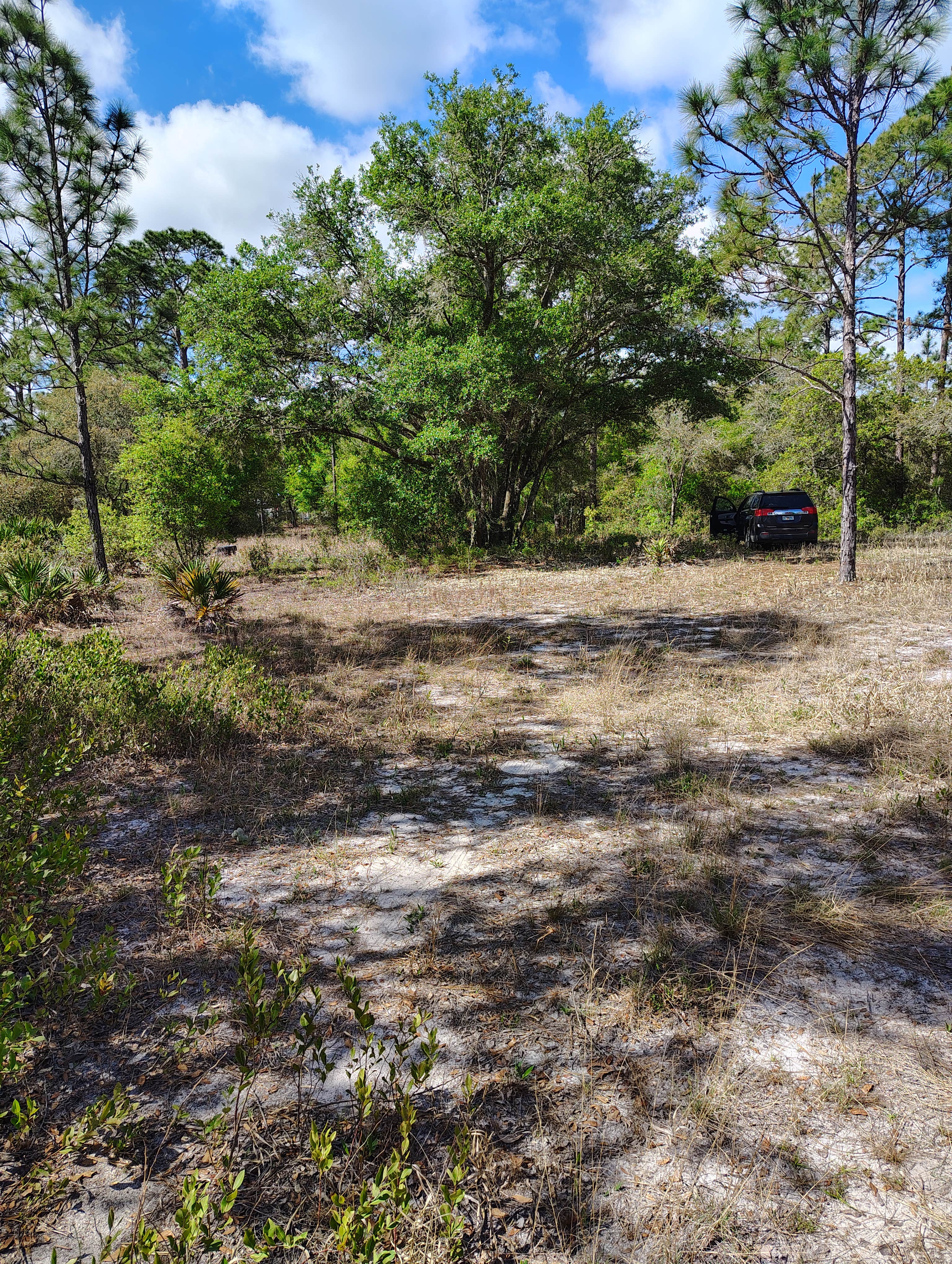 Camper-submitted photo at Hideaway Oasis near Waldo, FL