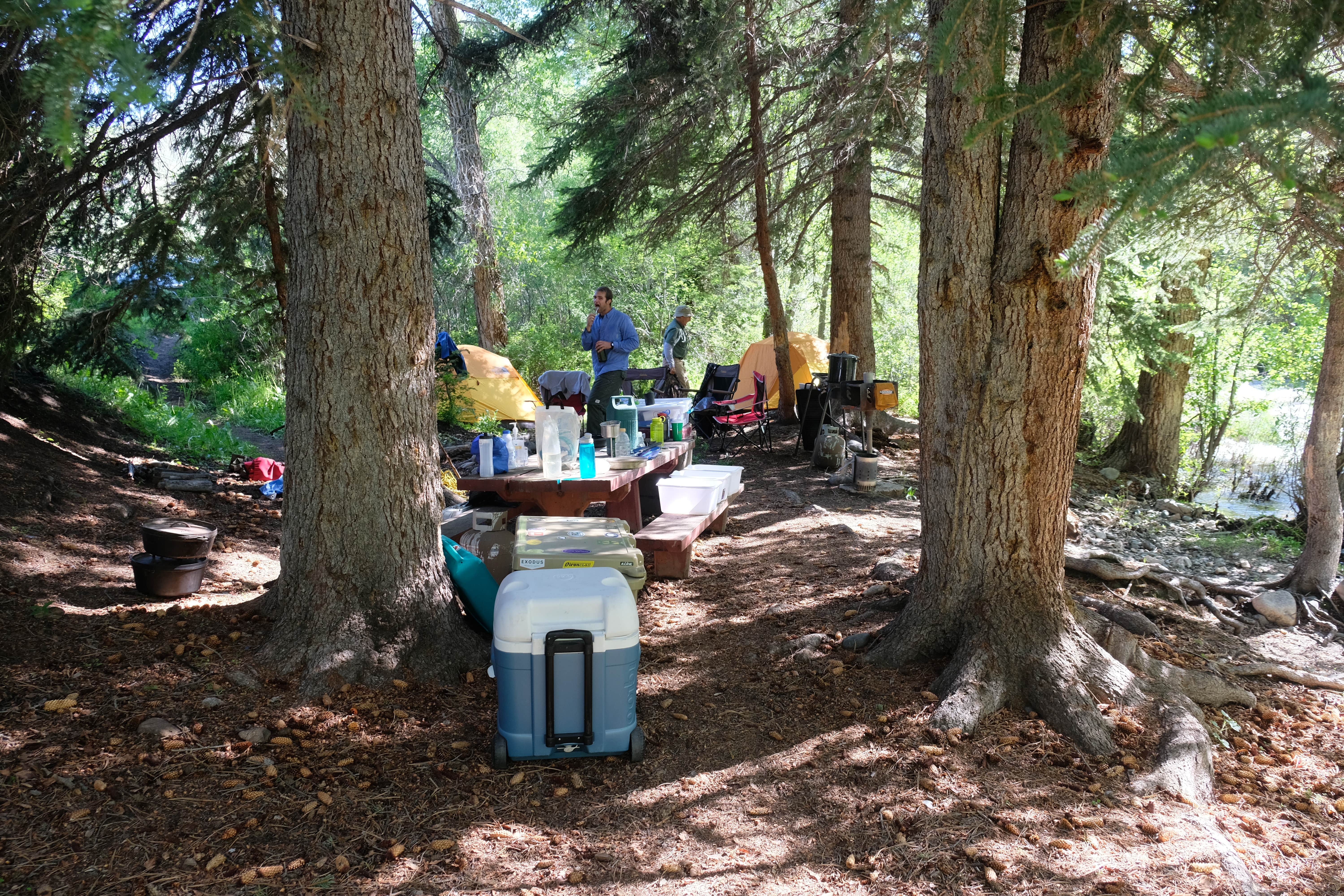 Camper-submitted photo at Pickaroon Campground near Medicine Bow-Routt National Forests and Thunder Basin National Grassland