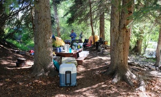 Pickaroon Campground