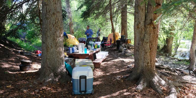 Camper submitted image from Pickaroon Campground