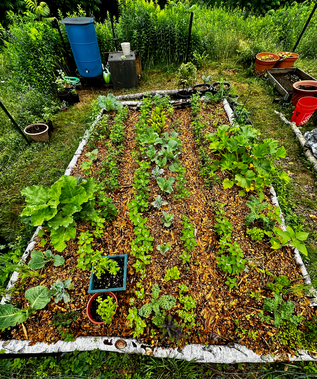 Camper-submitted photo at Rustic Retreat near Alna, ME