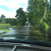 Review photo of North Bayshore Campground by Tina C., July 19, 2019