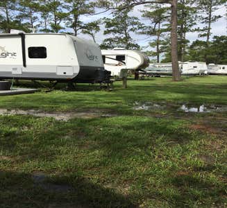 Camper-submitted photo from North Bayshore Campground