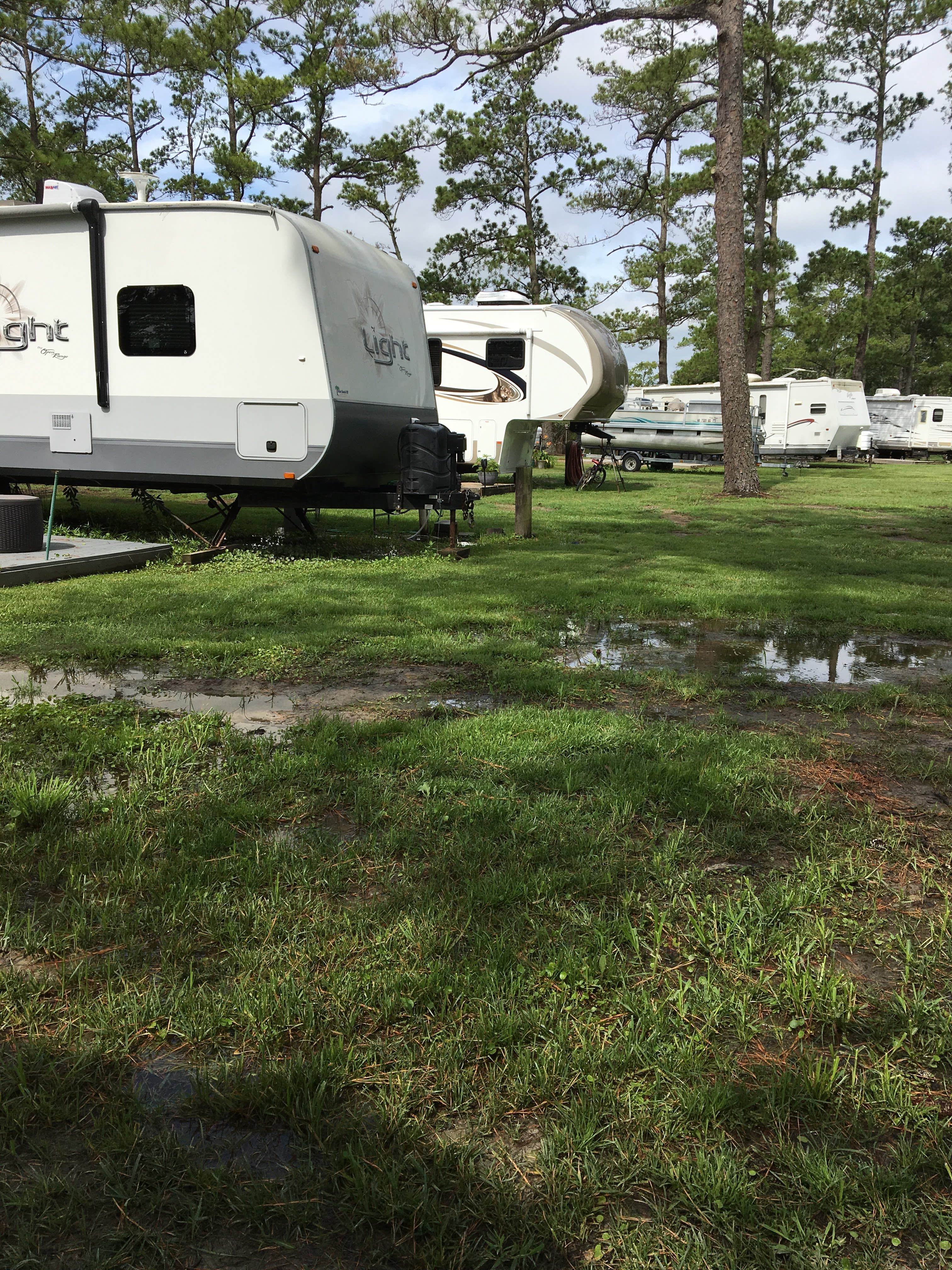 Camper submitted image from North Bayshore Campground - 3
