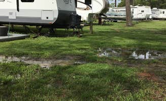 Tina C.'s photo of rv camping at North Bayshore Campground near South Mills, NC