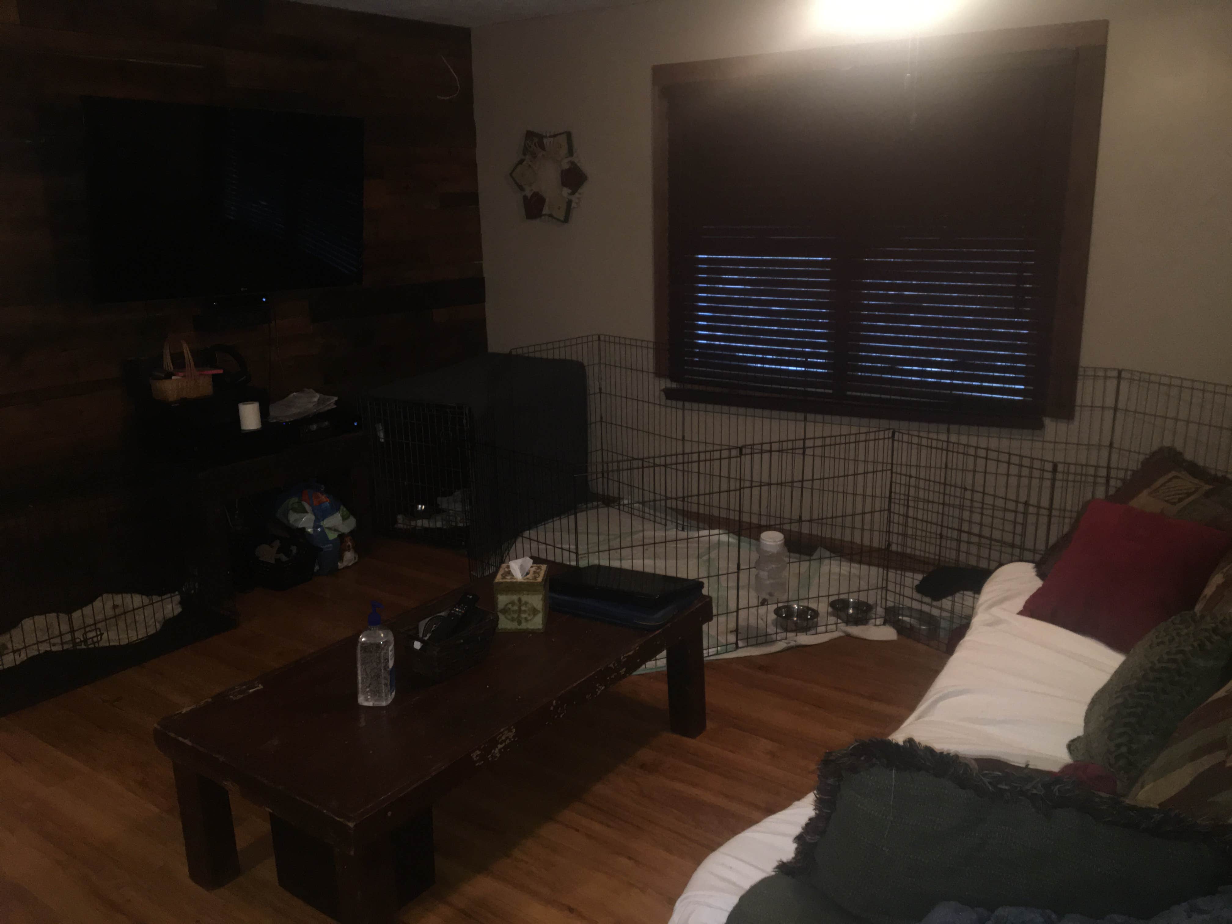 Camper-submitted photo at North Bayshore Campground near Greenwood, VA