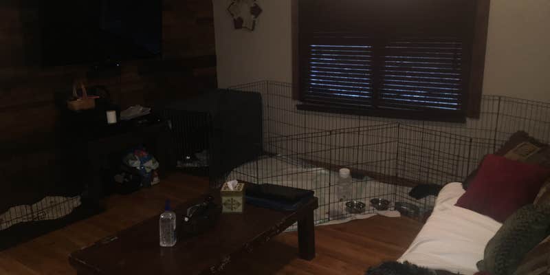 Camper submitted image from North Bayshore Campground