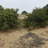 Review photo of El Capitán State Beach Campground by Brandy G., July 19, 2019