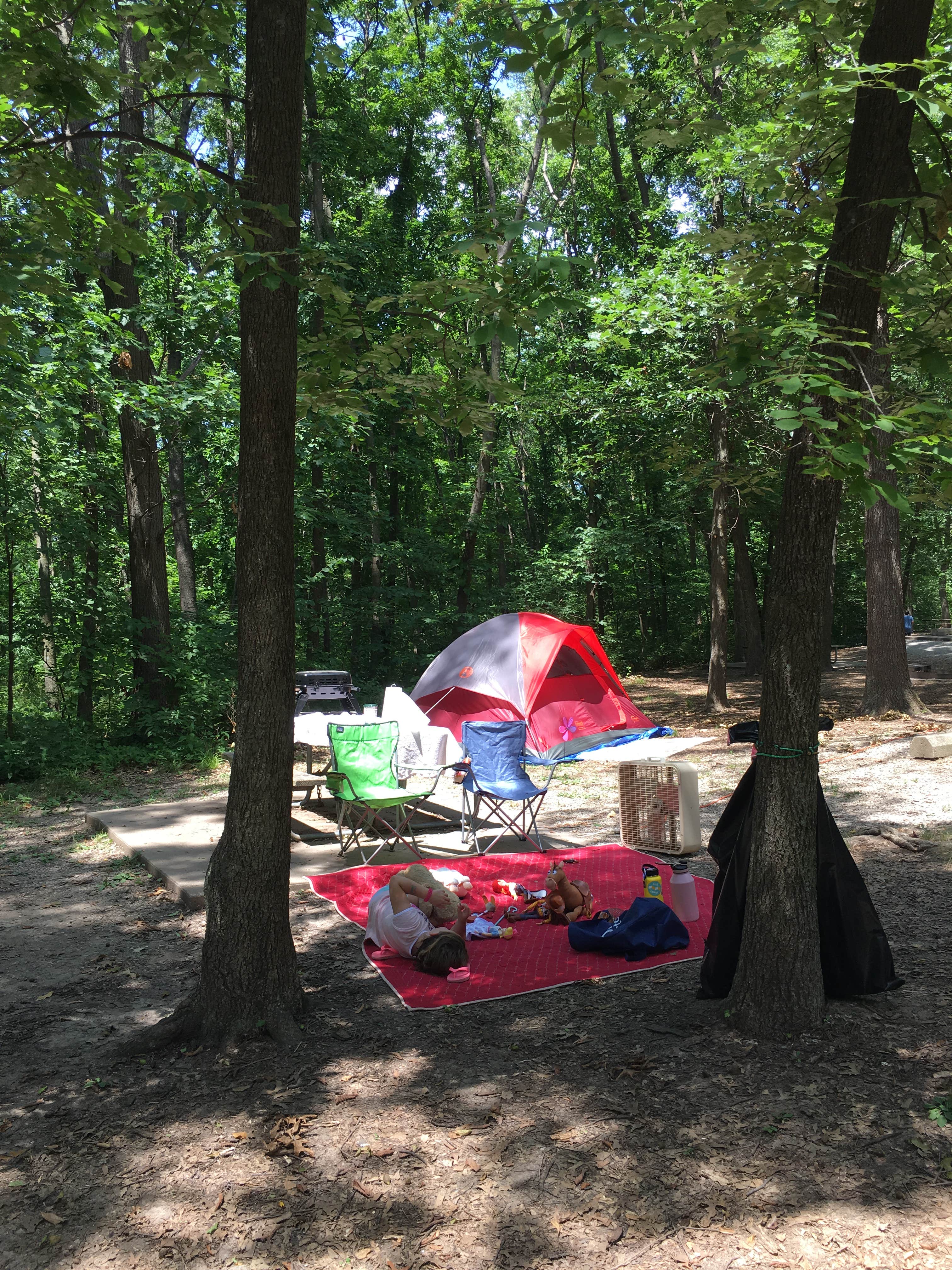 Amber B.'s photo at Watkins Mill State Park Campground near Chillicothe, MO