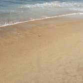 Review photo of Oregon Inlet Campground — Cape Hatteras National Seashore by Nicki E., July 19, 2019