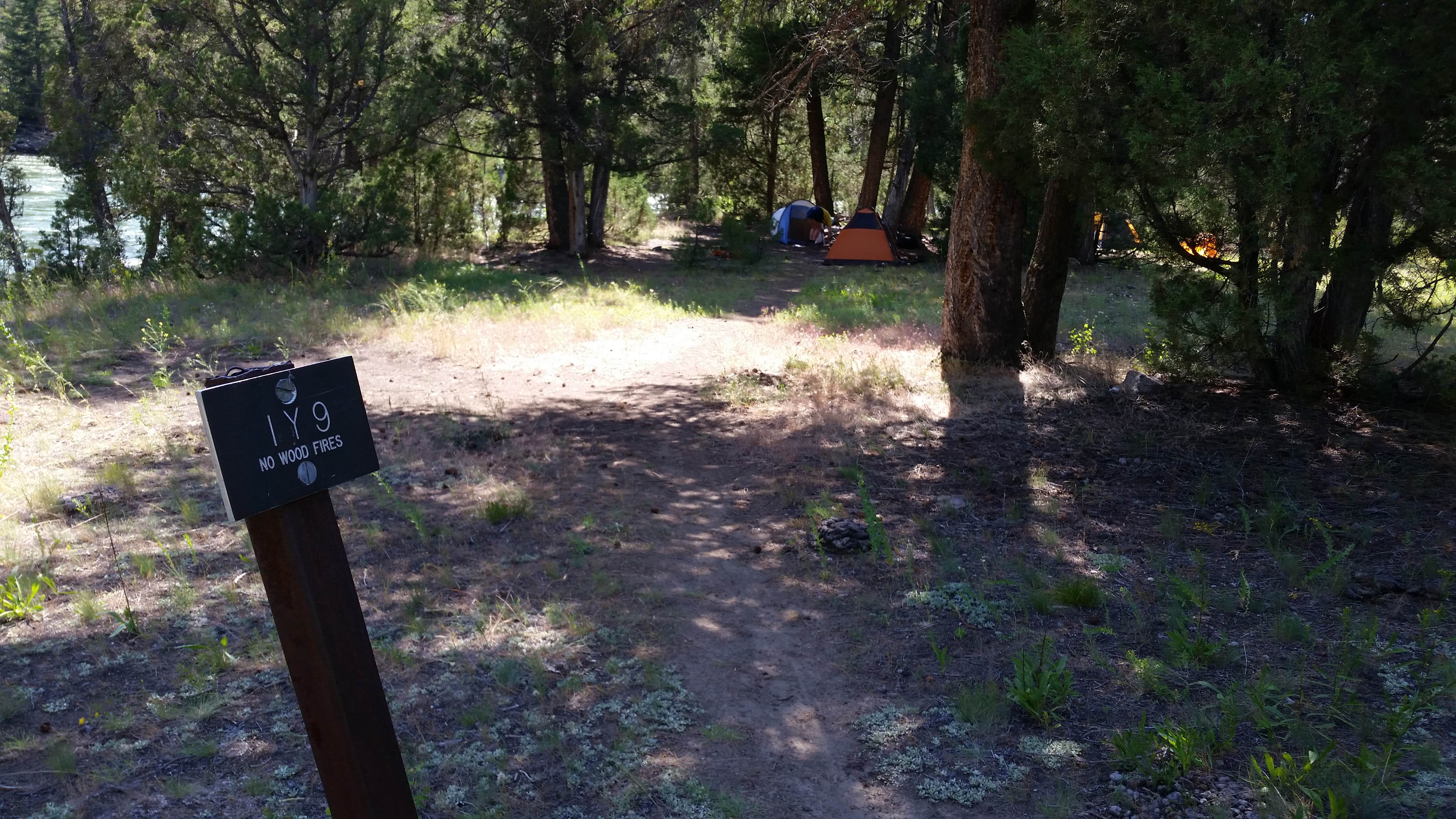 Dexter I.'s photo of tent camping at 1Y9 Backcountry Campsite — Yellowstone National Park near Emigrant, MT