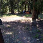 Review photo of Backcountry Campsite – Yellowstone River by Dexter I., July 19, 2019