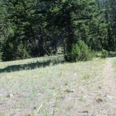 Review photo of Backcountry Campsite – Yellowstone River by Dexter I., July 19, 2019