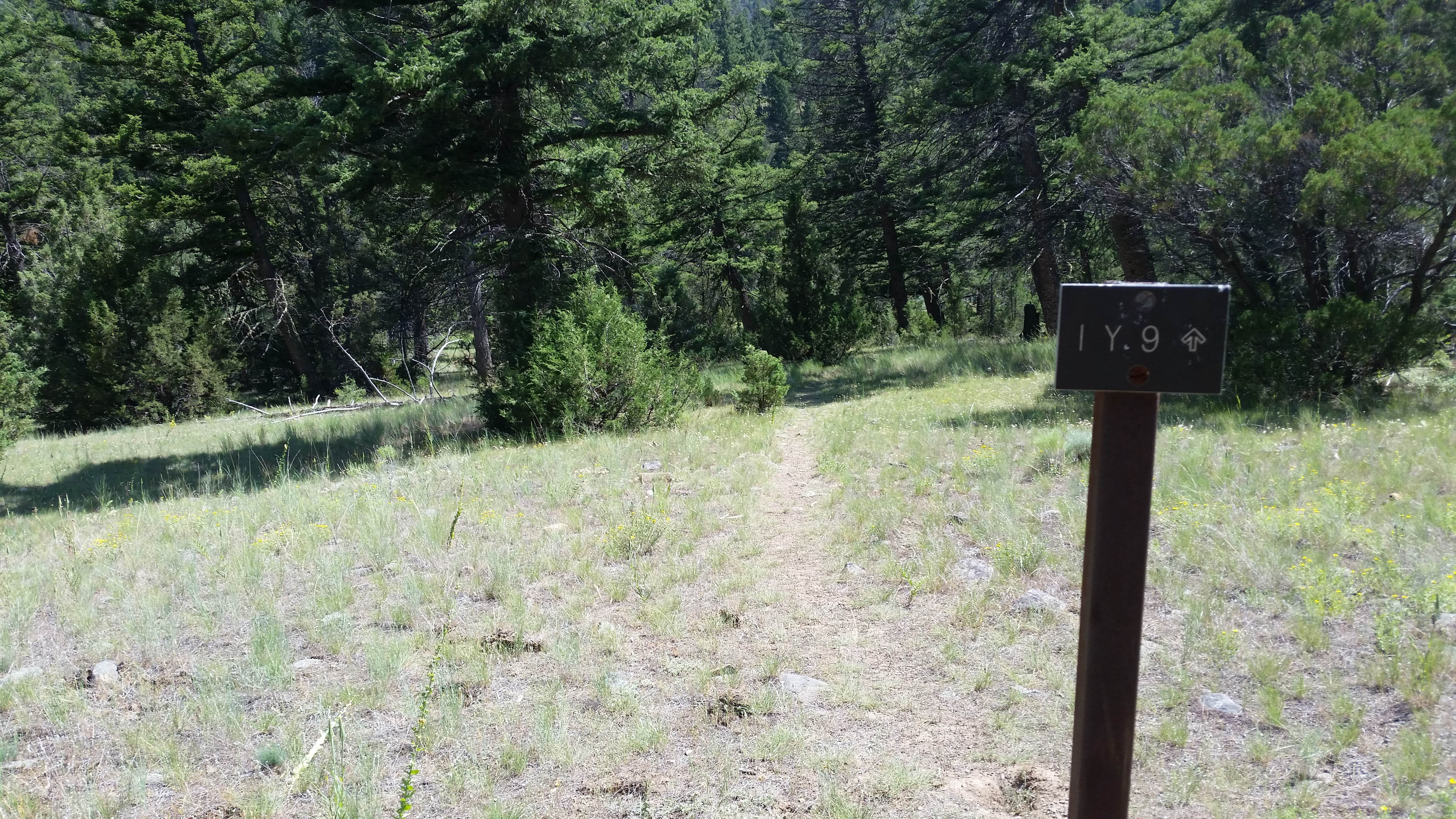 Camper submitted image from Backcountry Campsite – Yellowstone River - 2