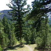 Review photo of Backcountry Campsite – Yellowstone River by Dexter I., July 19, 2019