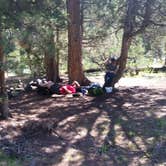 Review photo of Backcountry Campsite – Yellowstone River by Dexter I., July 19, 2019