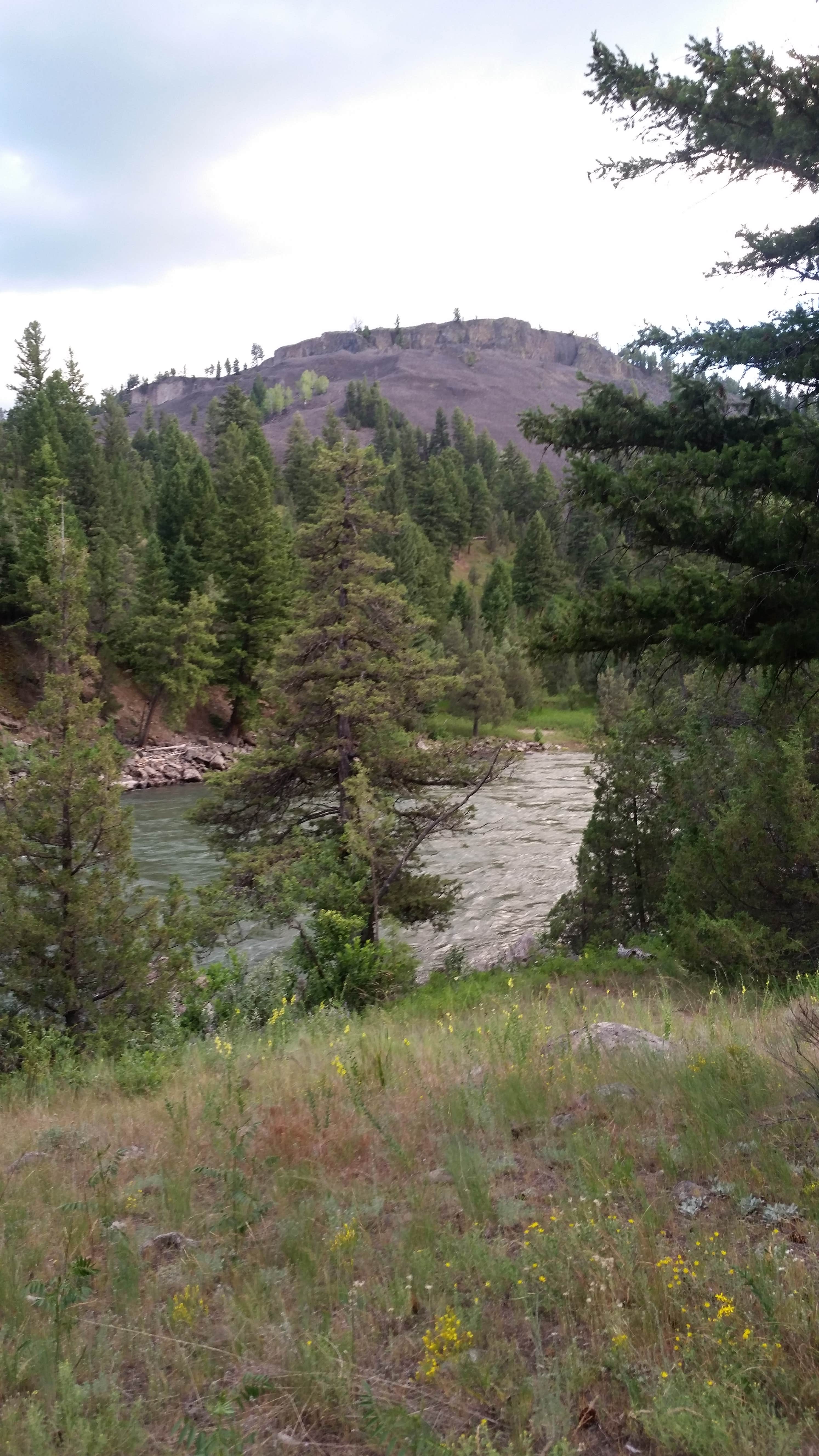 Camper-submitted photo at 1Y9 Backcountry Campsite — Yellowstone National Park near Pray, MT