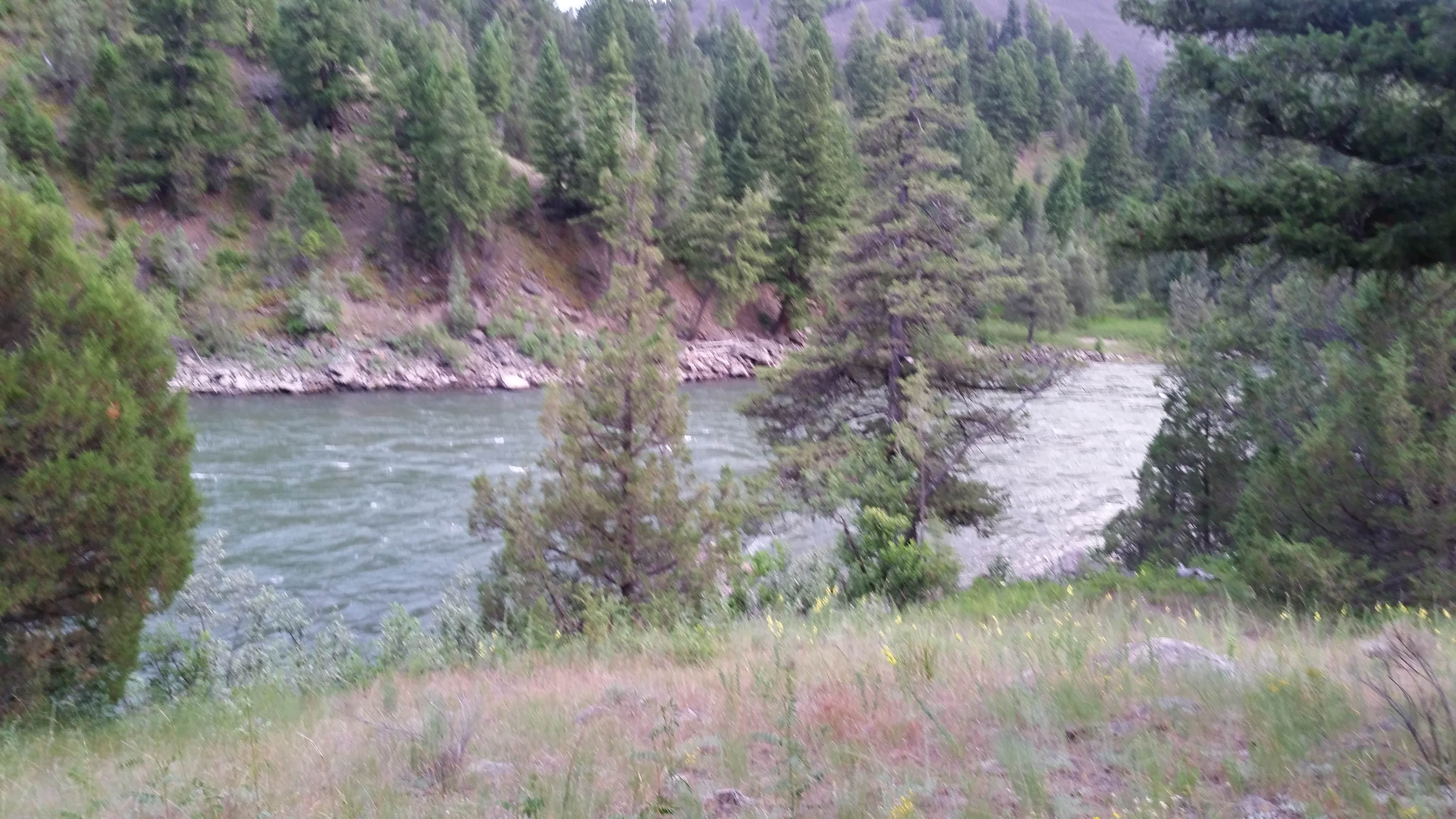 Camper submitted image from Backcountry Campsite – Yellowstone River - 4