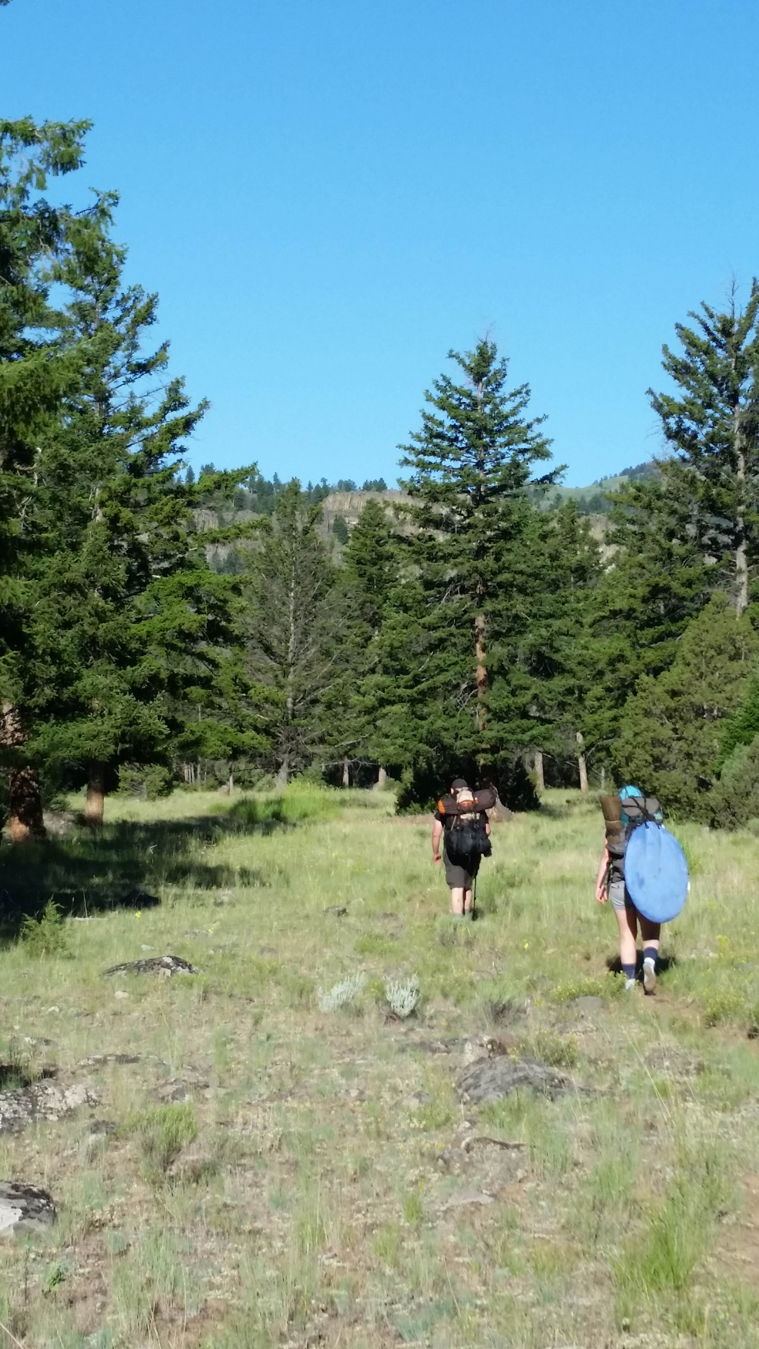 Camper-submitted photo at 1Y9 Backcountry Campsite — Yellowstone National Park near Pray, MT
