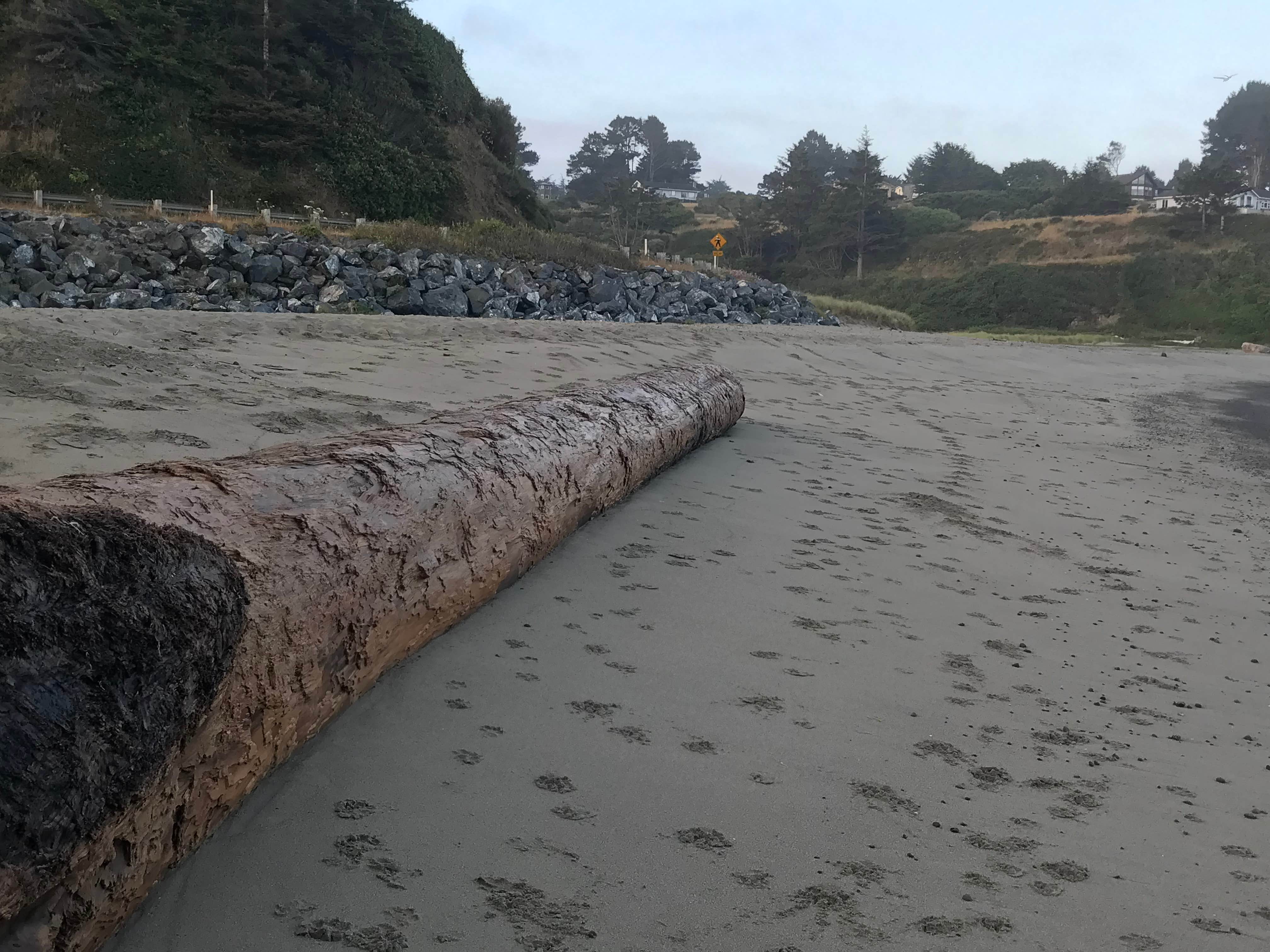 Camper-submitted photo at Caspar Beach RV Park & Campground near Piercy, CA