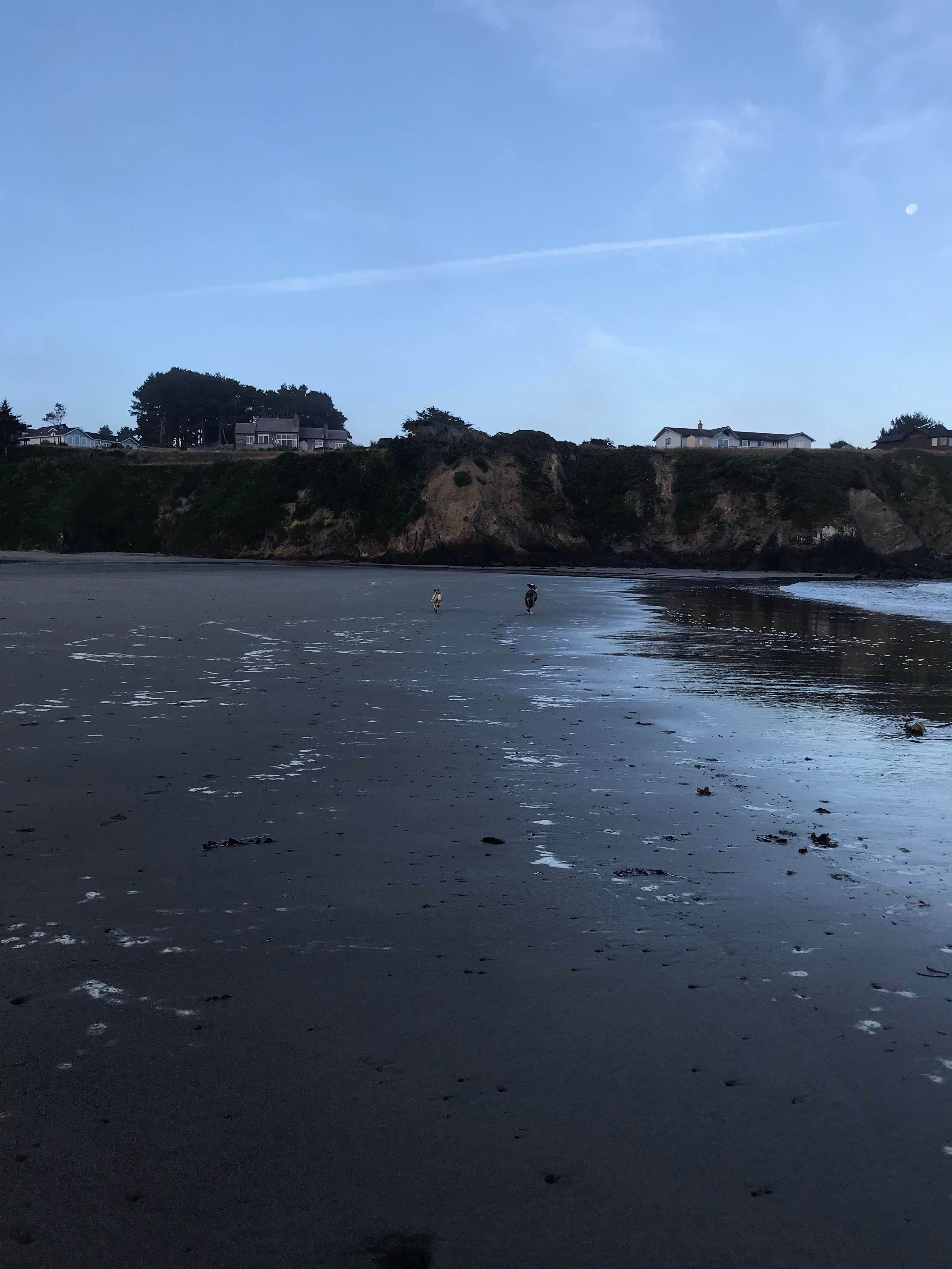 Camper-submitted photo at Caspar Beach RV Park & Campground near Piercy, CA