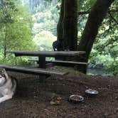 Review photo of Siuslaw National Forest Blackberry Campground by Kaelin P., July 19, 2019