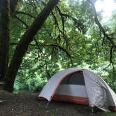 Review photo of Siuslaw National Forest Blackberry Campground by Kaelin P., July 19, 2019